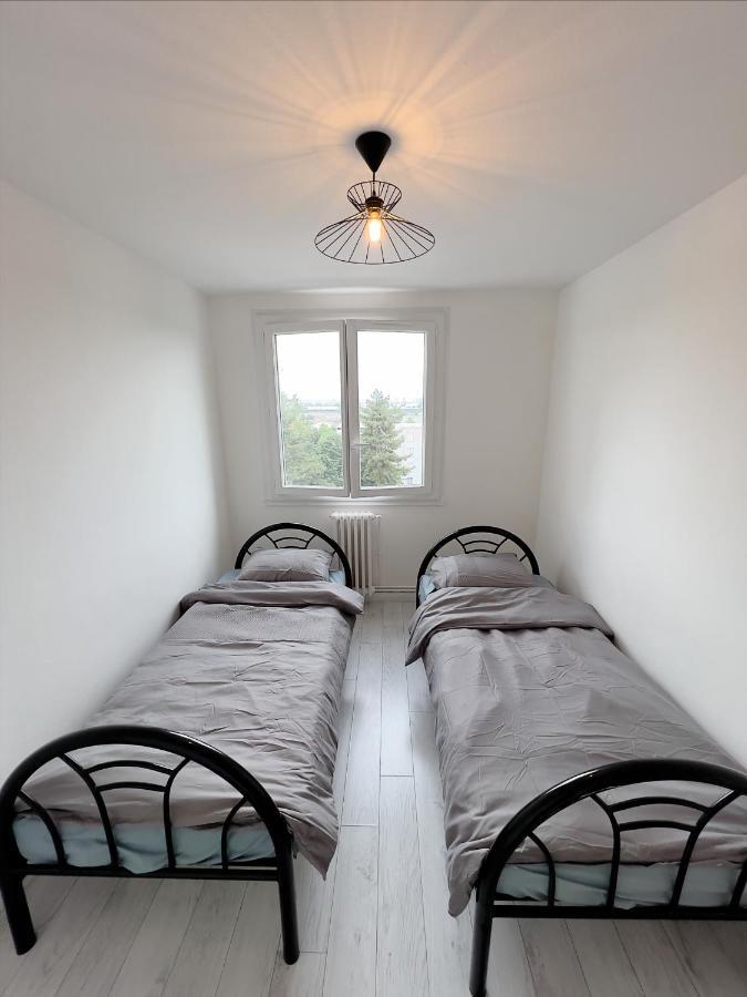 Appartement Spacieux Avec Balcon Saint-Fons Екстер'єр фото